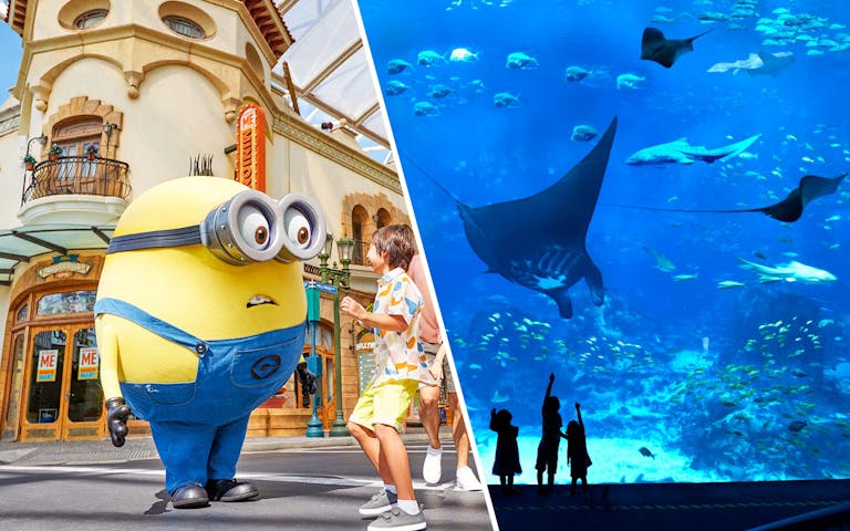 Universal Studios Singapore + Oceanarium Tour Combo (Sharing Coach Tour)  