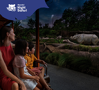 Night Safari + Tram Ride (Sharing Coach Tour)
