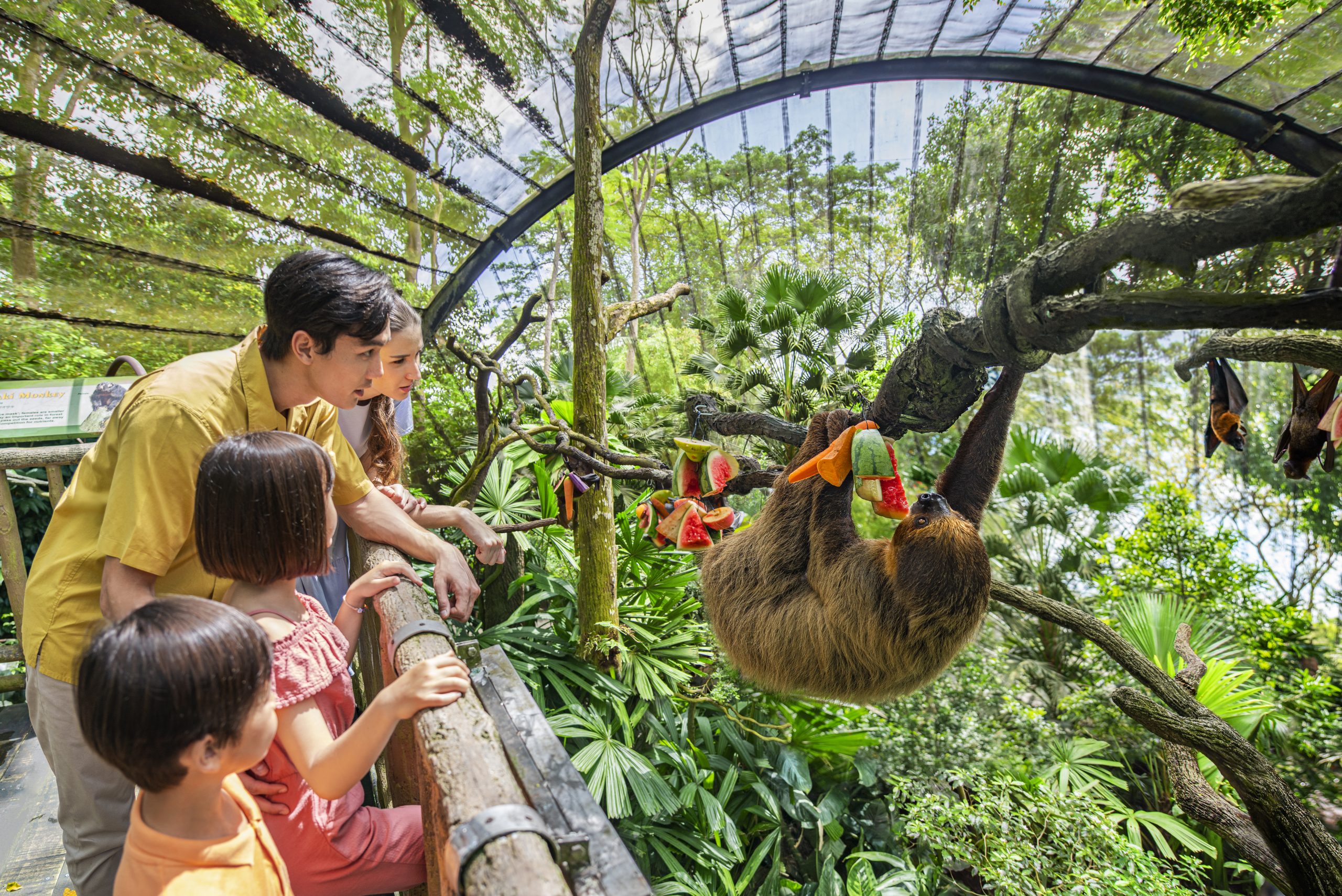Singapore Zoo + Tram Ride (Sharing Coach Tour)
