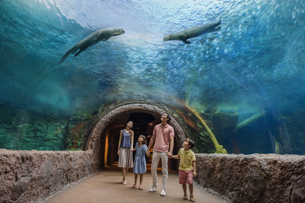 River Wonders + Amazon River Quest (Sharing Coach Tour)