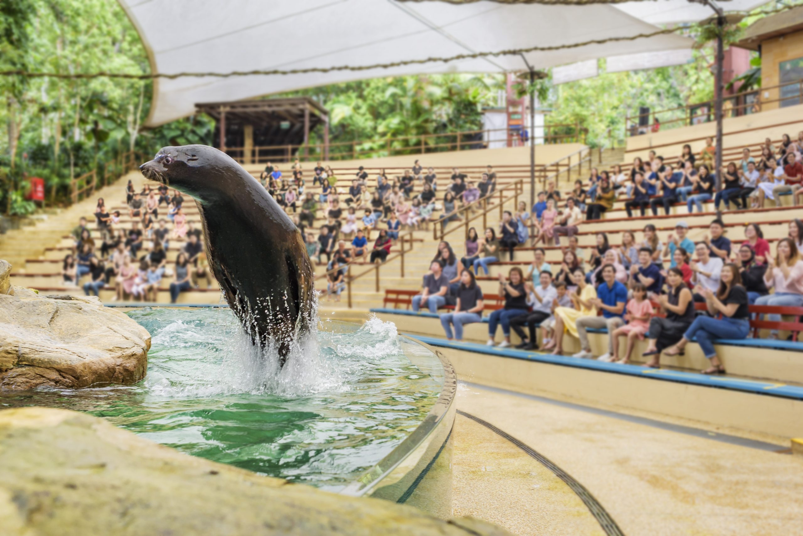 Singapore Zoo + Tram Ride (Sharing Coach Tour)