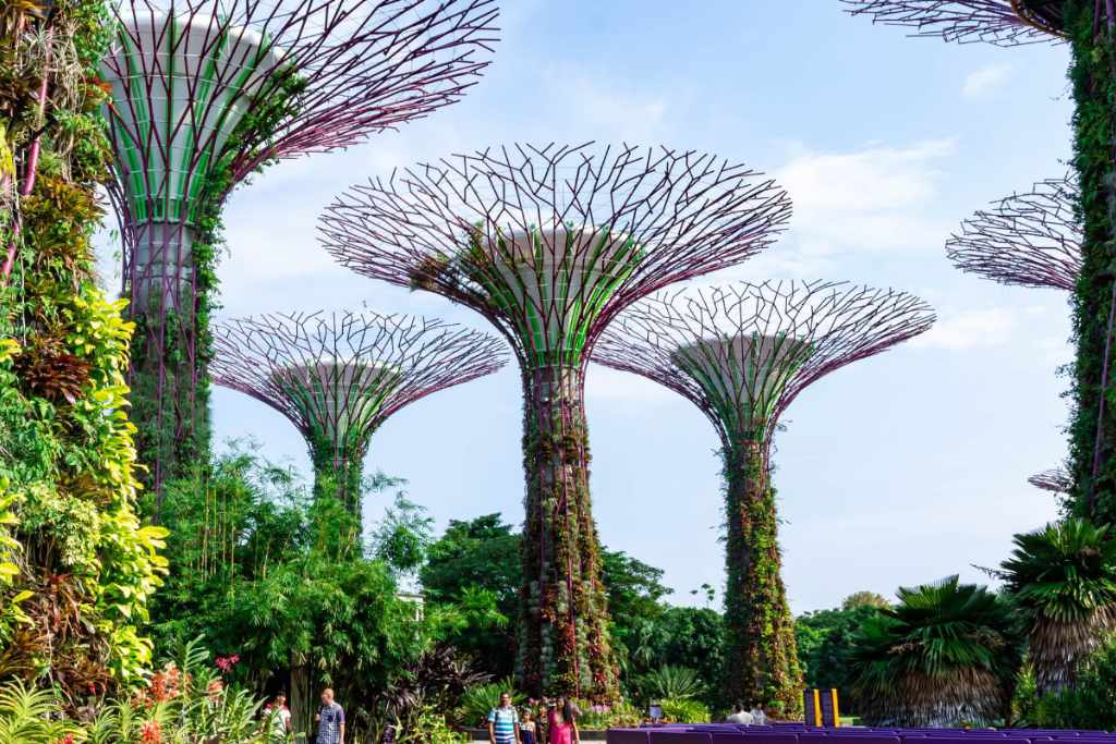 3 Days Discover Singapore’s Iconic Gardens