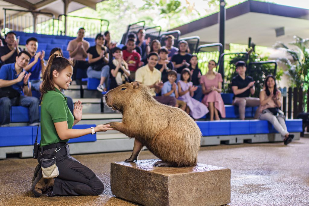 River Wonders + Amazon River Quest (Sharing Coach Tour)