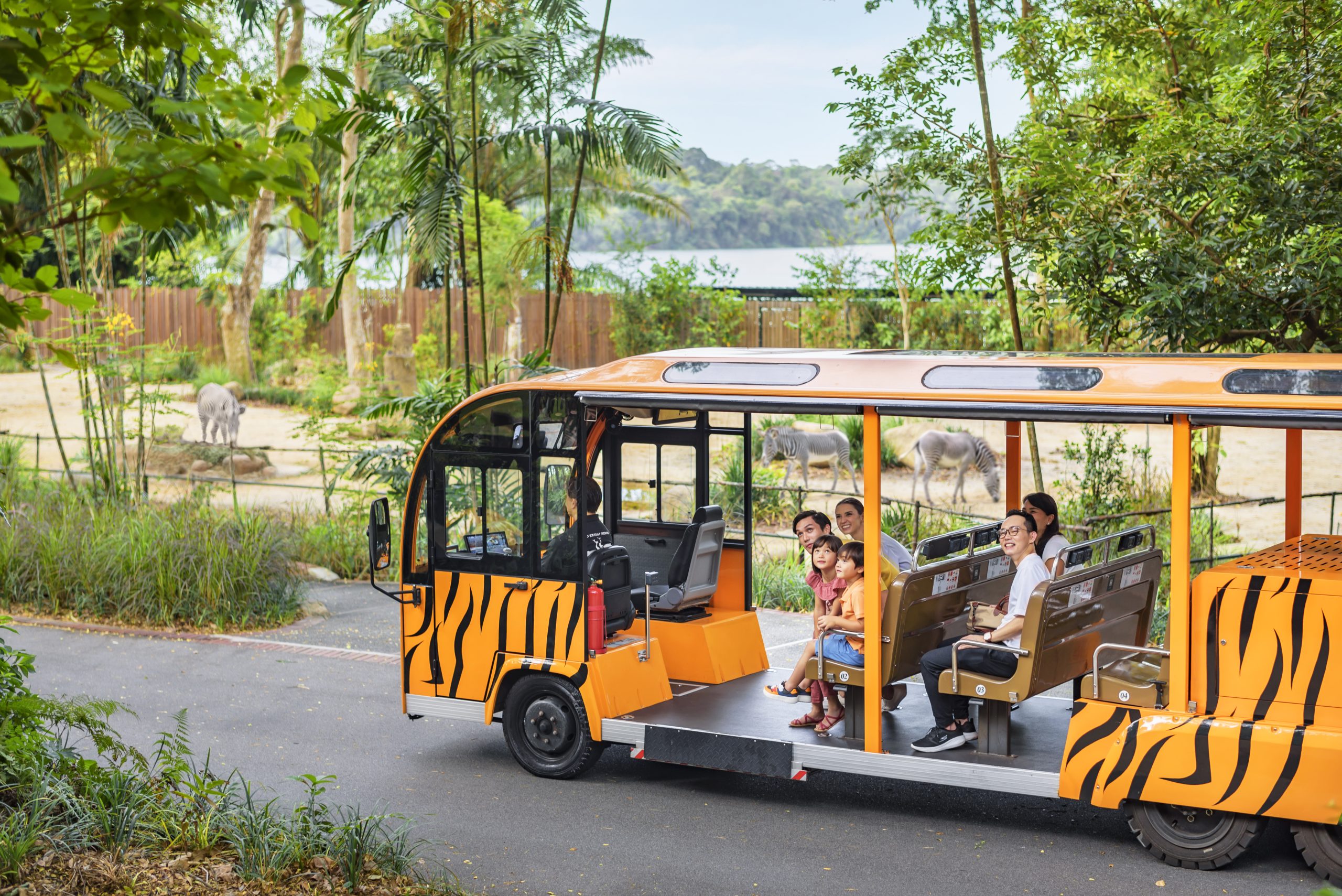 Singapore Zoo + Tram Ride (Sharing Coach Tour)