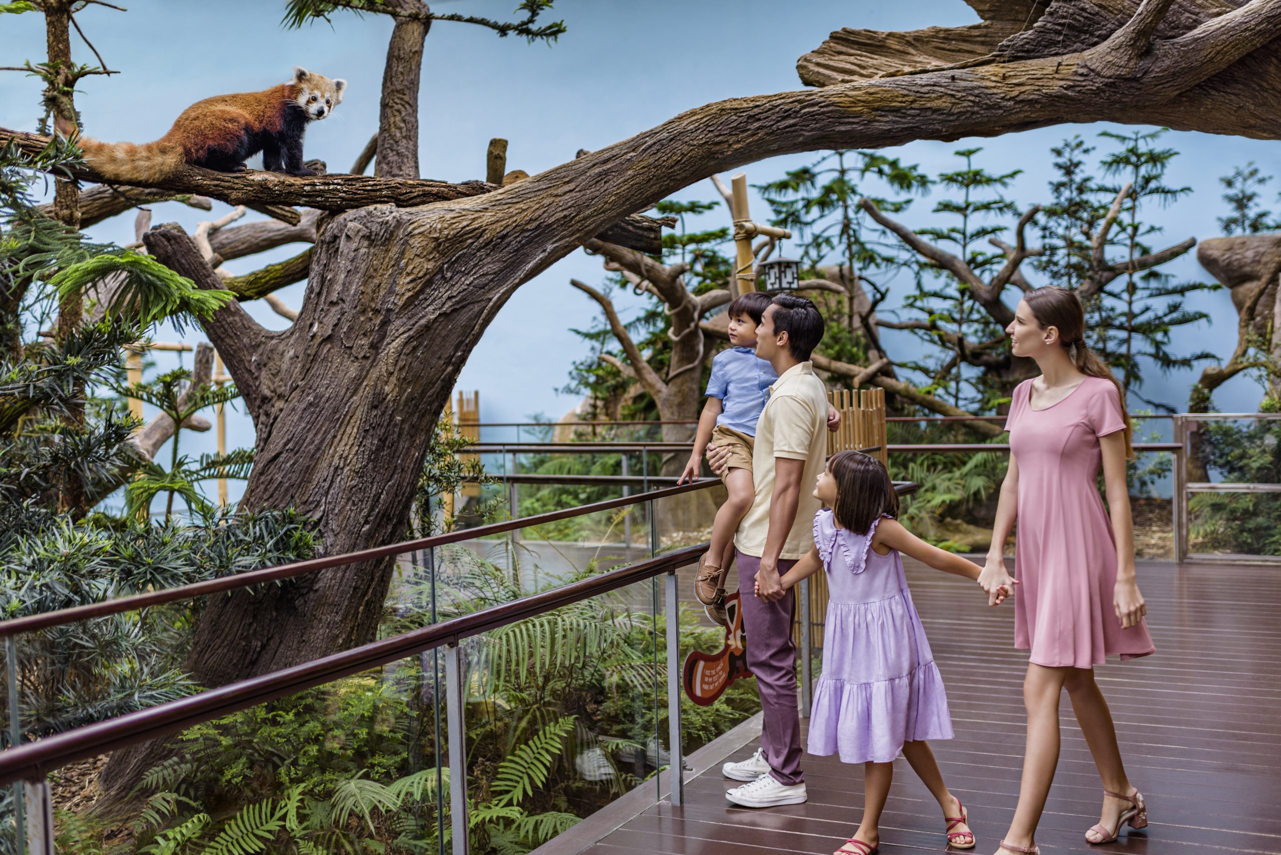 River Wonders + Amazon River Quest (Sharing Coach Tour)